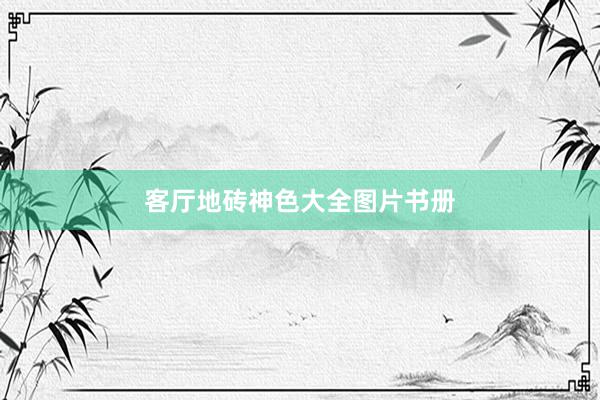 客厅地砖神色大全图片书册