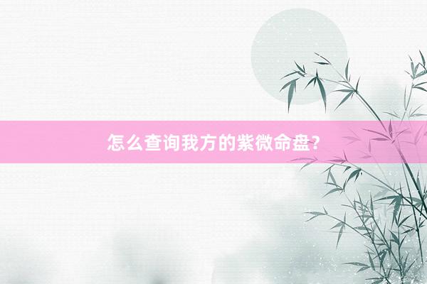 怎么查询我方的紫微命盘？