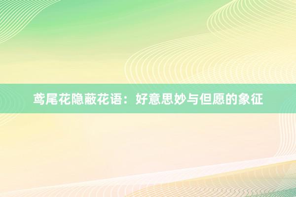 鸢尾花隐蔽花语：好意思妙与但愿的象征